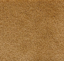 Ковролин Radici Lord Biondo 125A фото 1 | FLOORDEALER